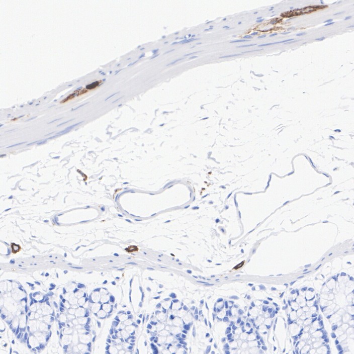HA751372_5.jpg