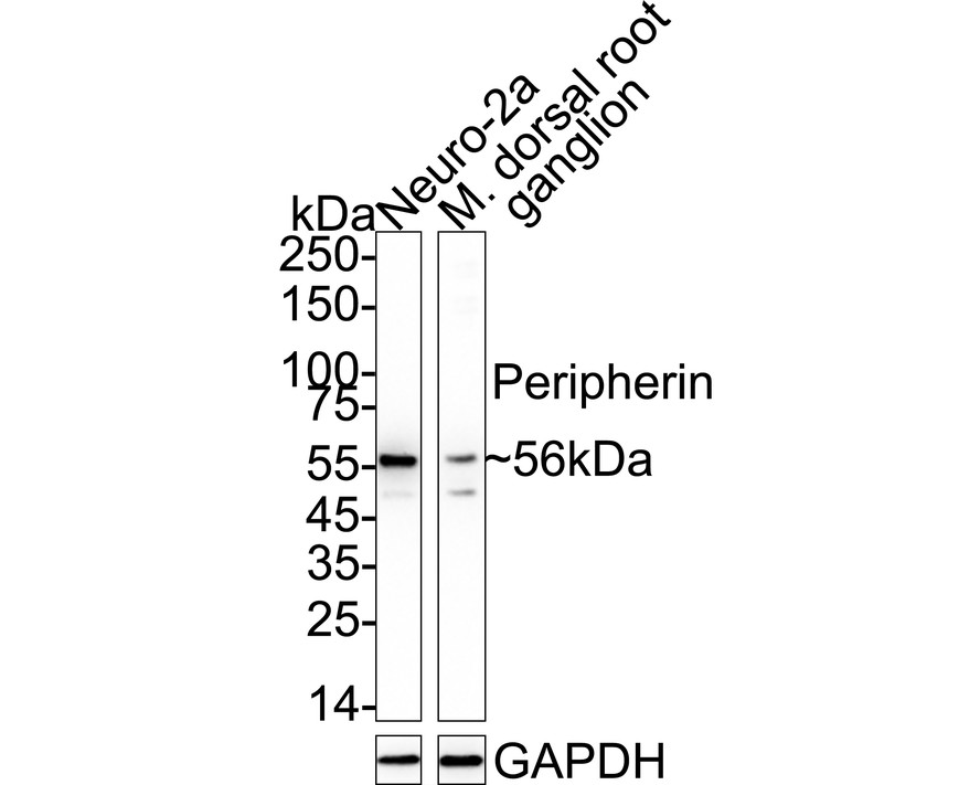 HA751372_6.jpg