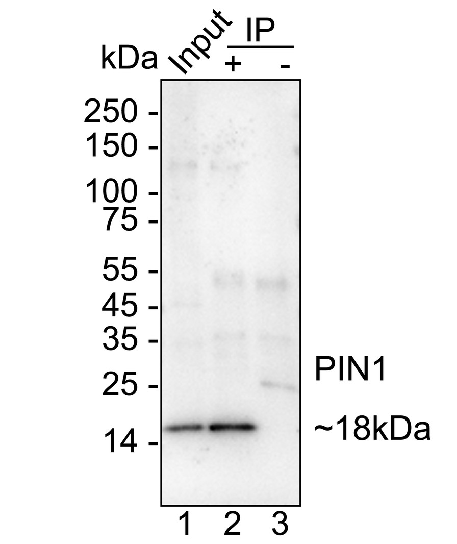 HA751373_10.jpg