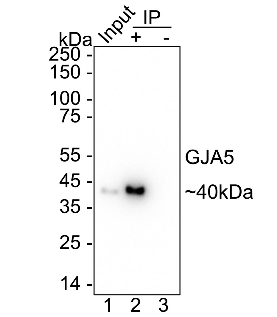 HA751374_2.jpg