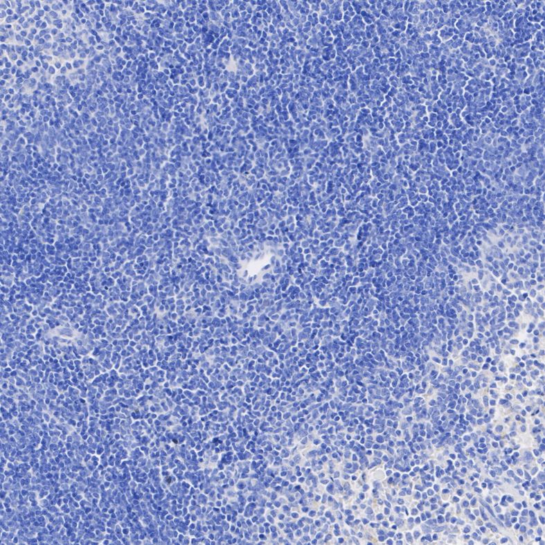 HA751390_2.jpg
