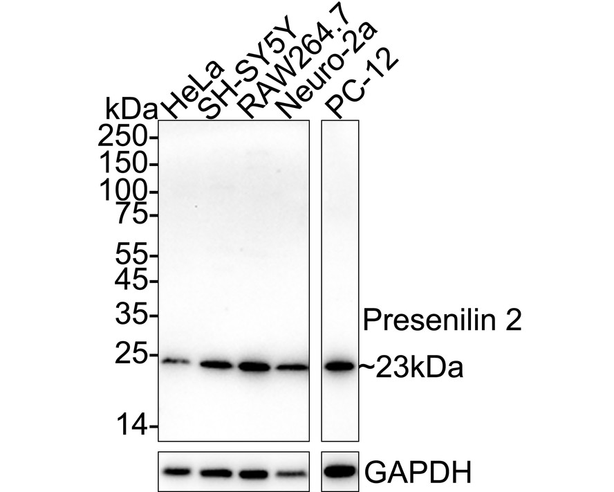 HA751399_1.jpg