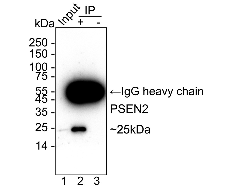 HA751399_4.jpg