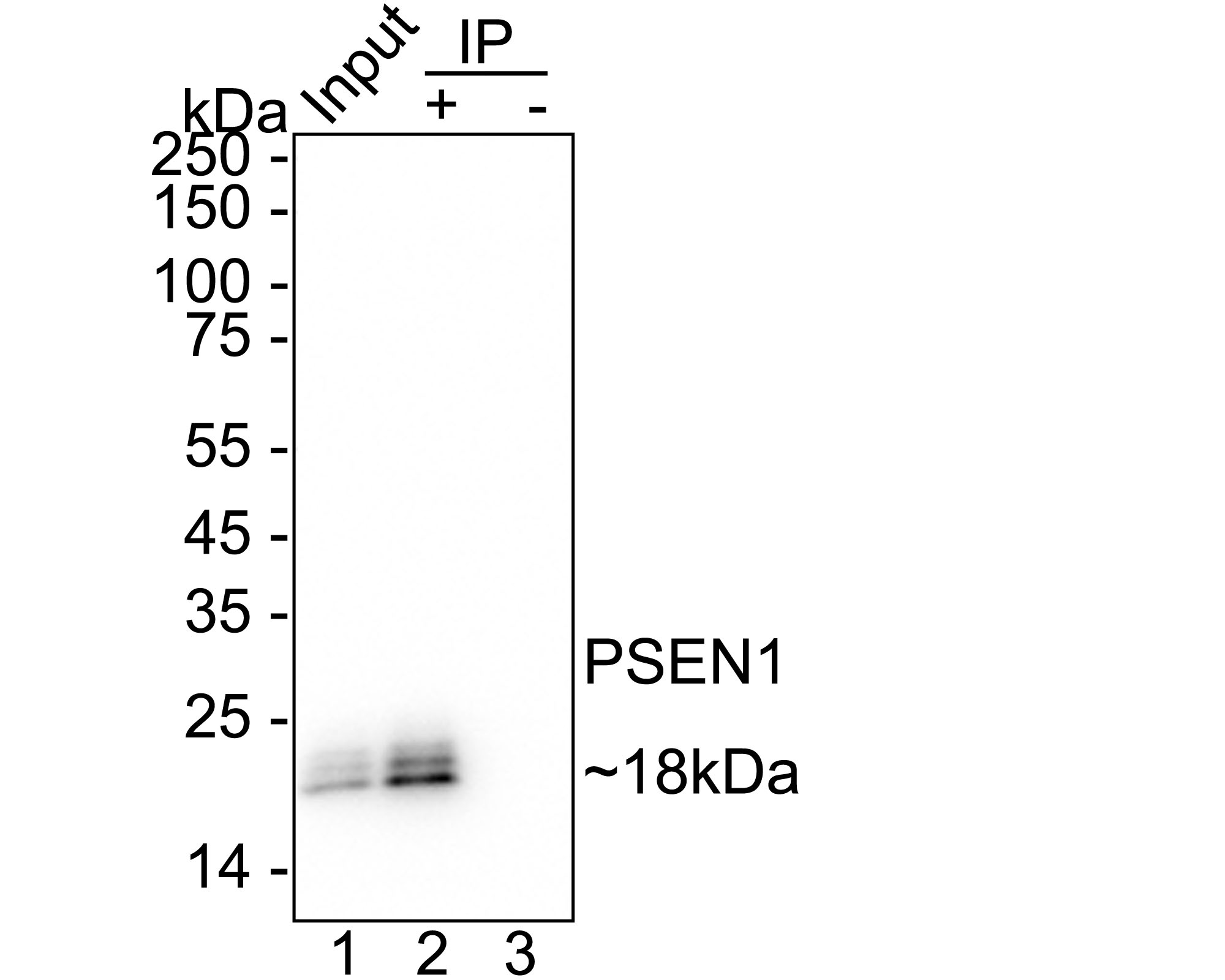 HA751400_2.jpg
