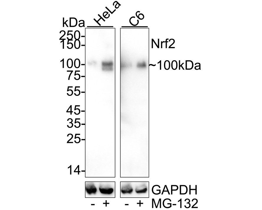 HA751401_2.jpg