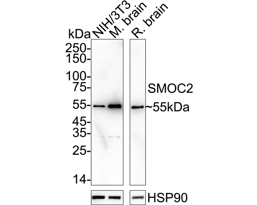 HA751404_1.jpg