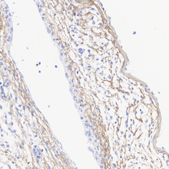 HA751405_11.jpg