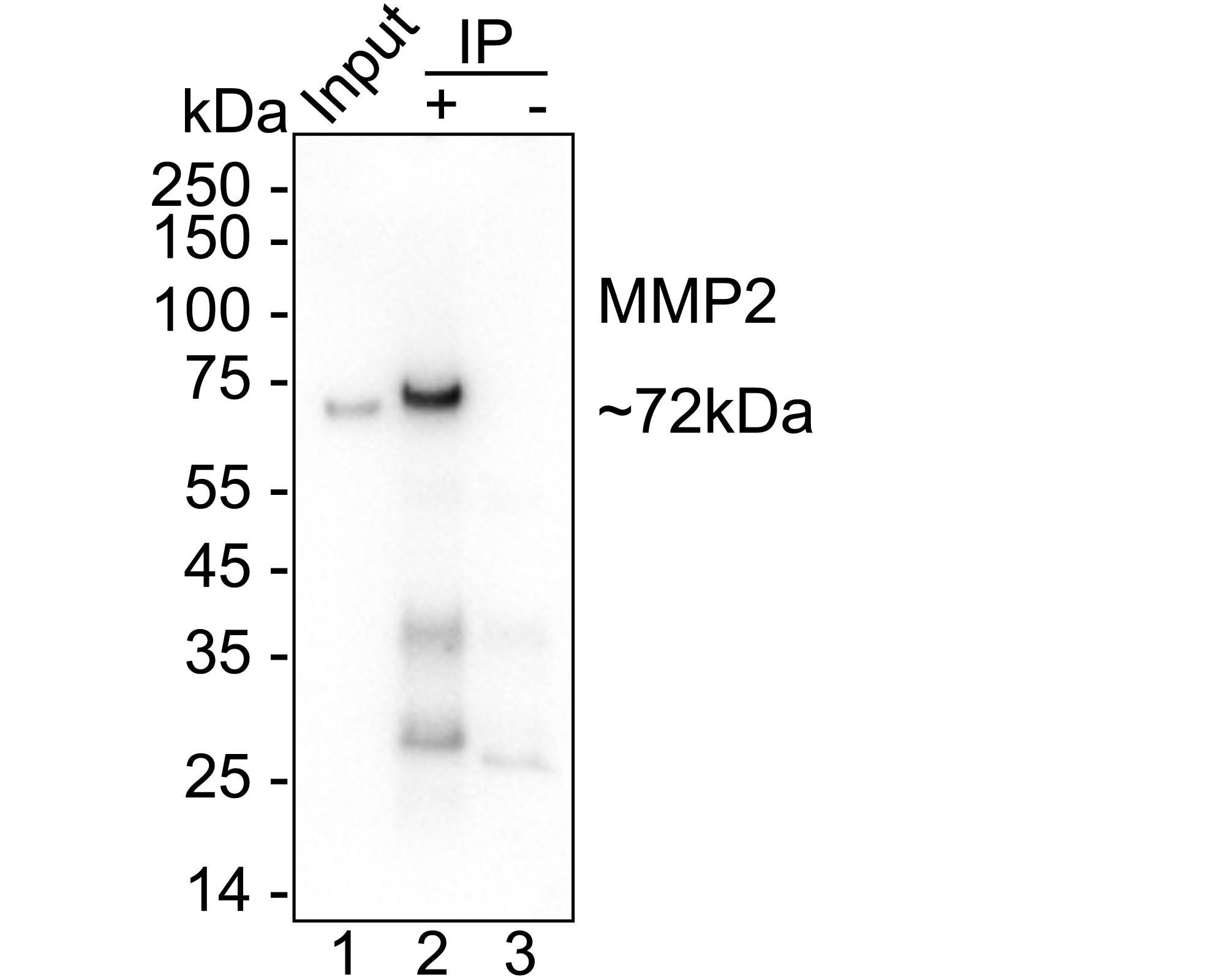 HA751405_15.jpg