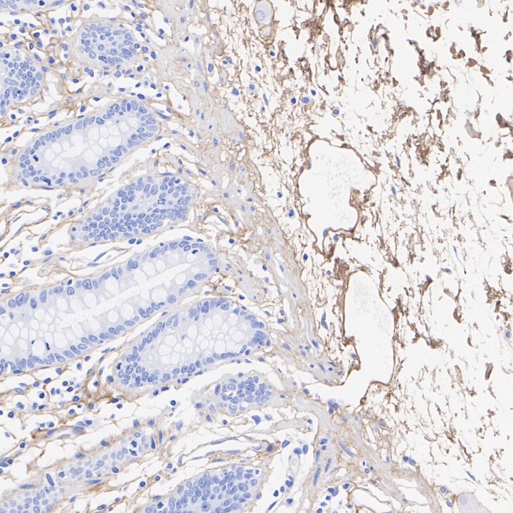 HA751405_5.jpg