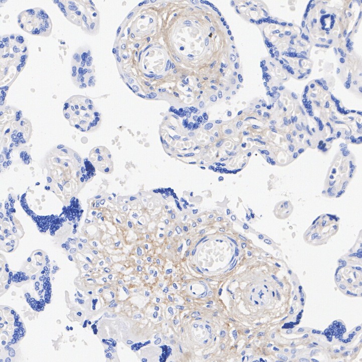 HA751405_6.jpg
