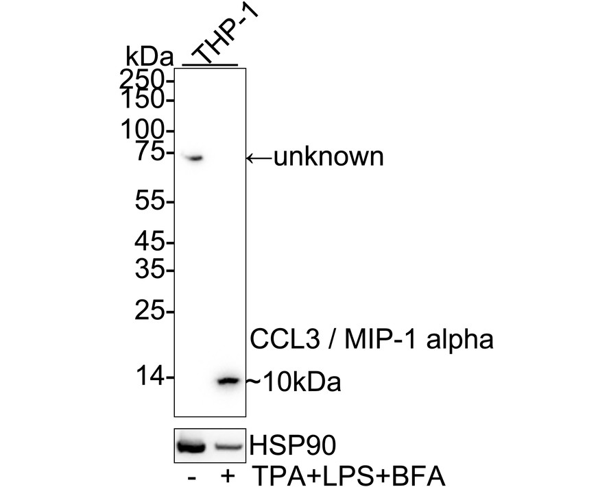 HA751406_1.jpg