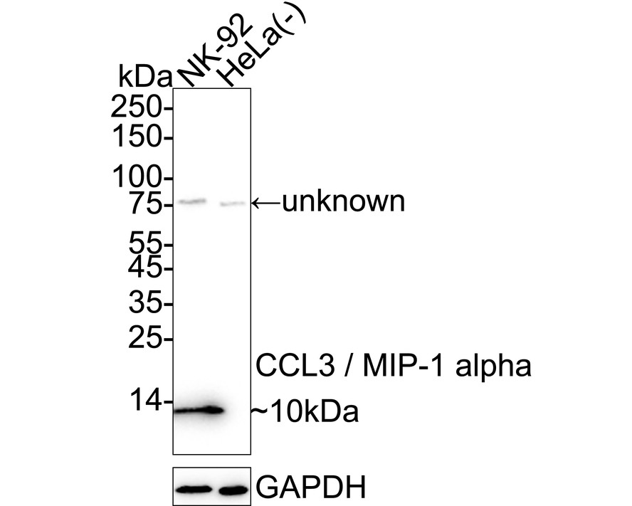 HA751406_2.jpg