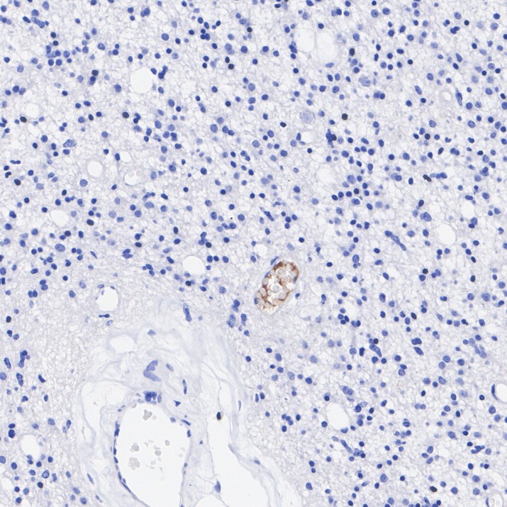 HA751408_3.jpg