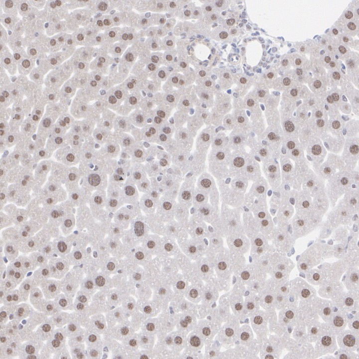 HA751409_3.jpg