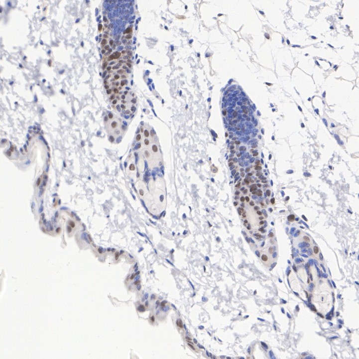HA751409_4.jpg