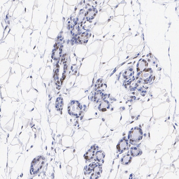 HA751409_5.jpg