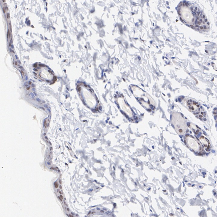 HA751409_6.jpg