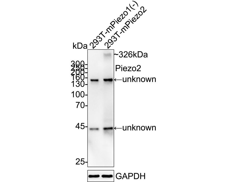 HA751412_1.jpg