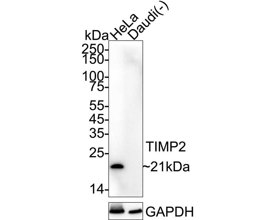 HA751418_1.jpg