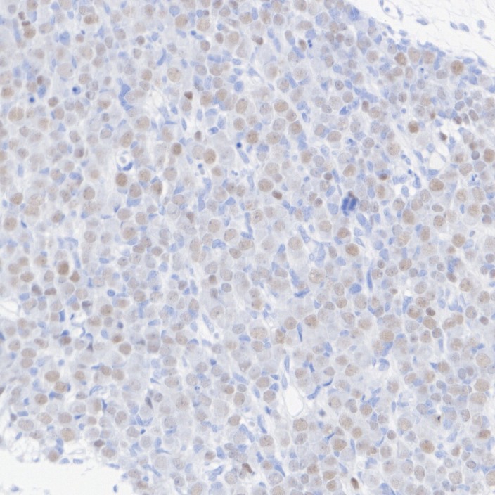 HA751421_4.jpg
