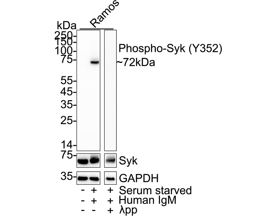 HA751422_1.jpg