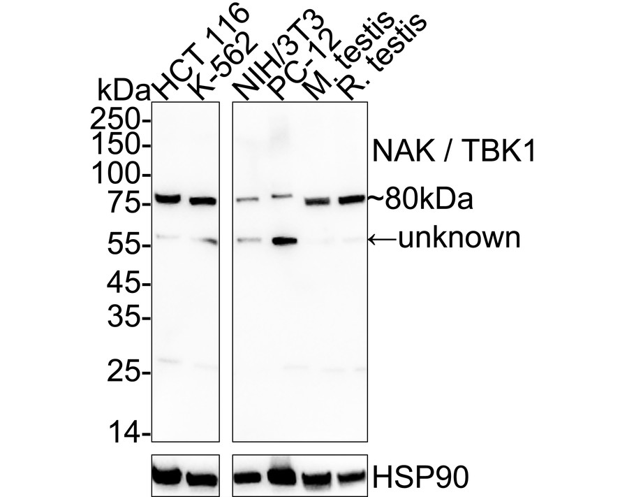 HA751425_1.jpg