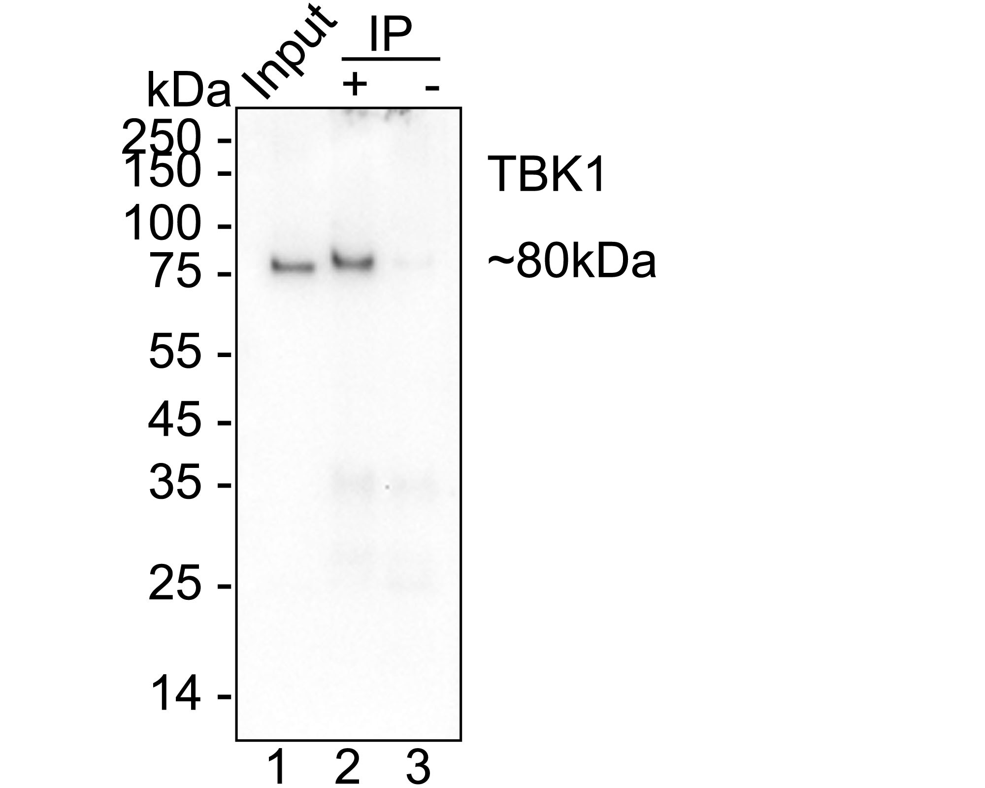 HA751425_4.jpg