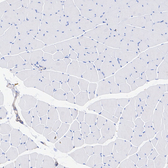 HA751429_15.jpg