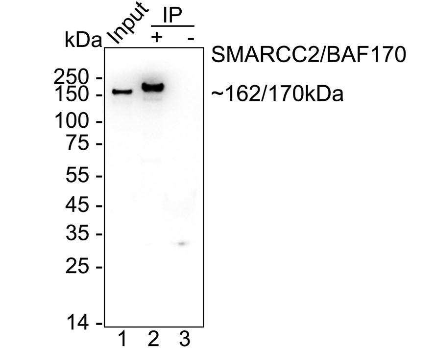 HA751433_10.jpg