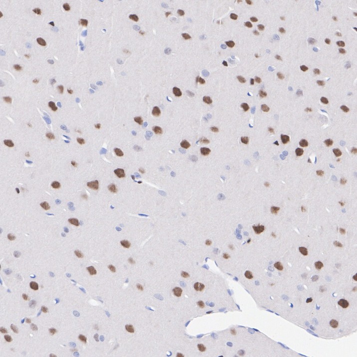 HA751433_6.jpg