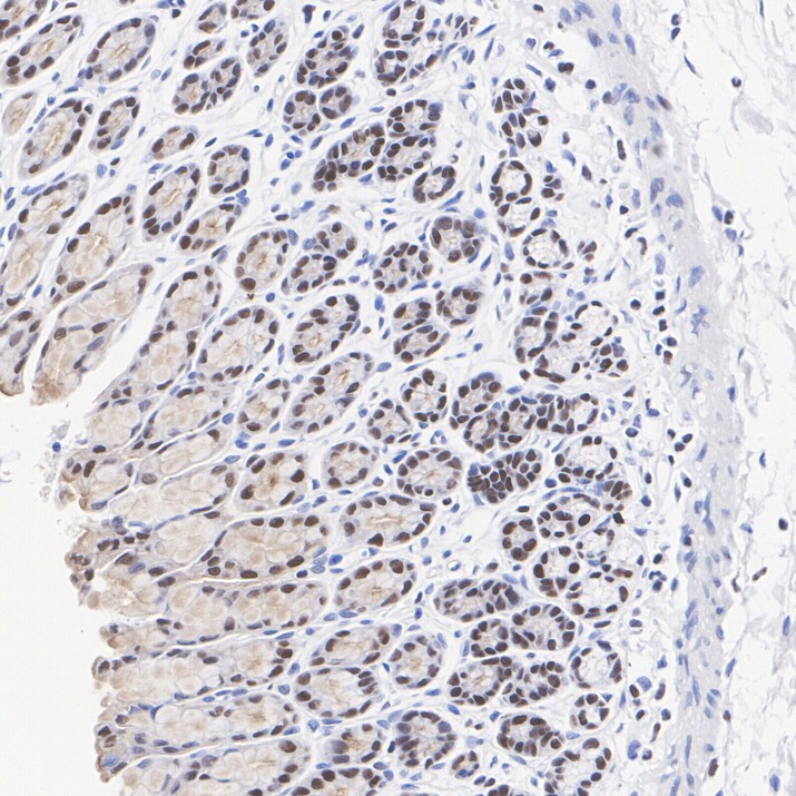 HA751433_7.jpg