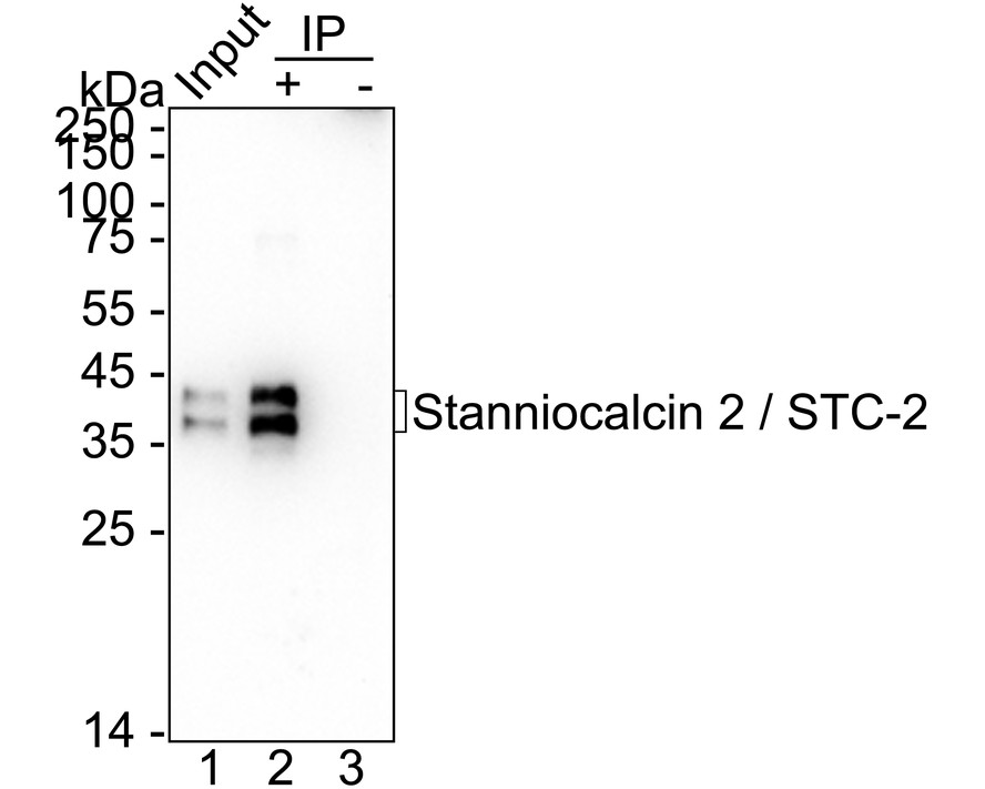 HA751434_3.jpg