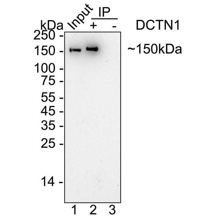 HA751464_12.jpg