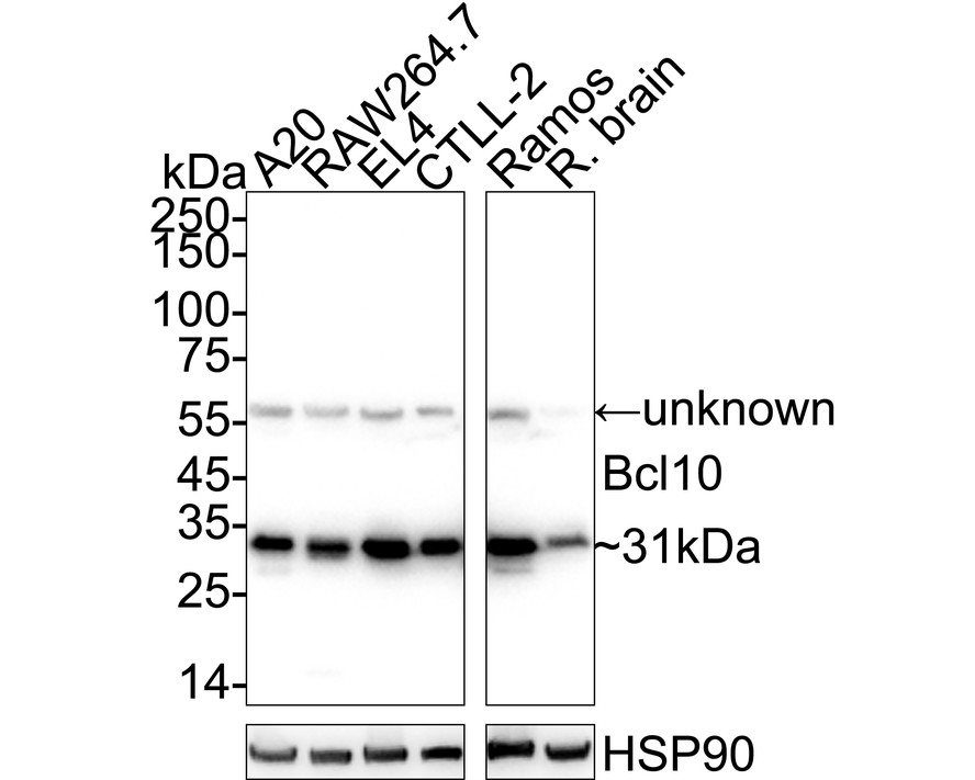 HA751468_1.jpg