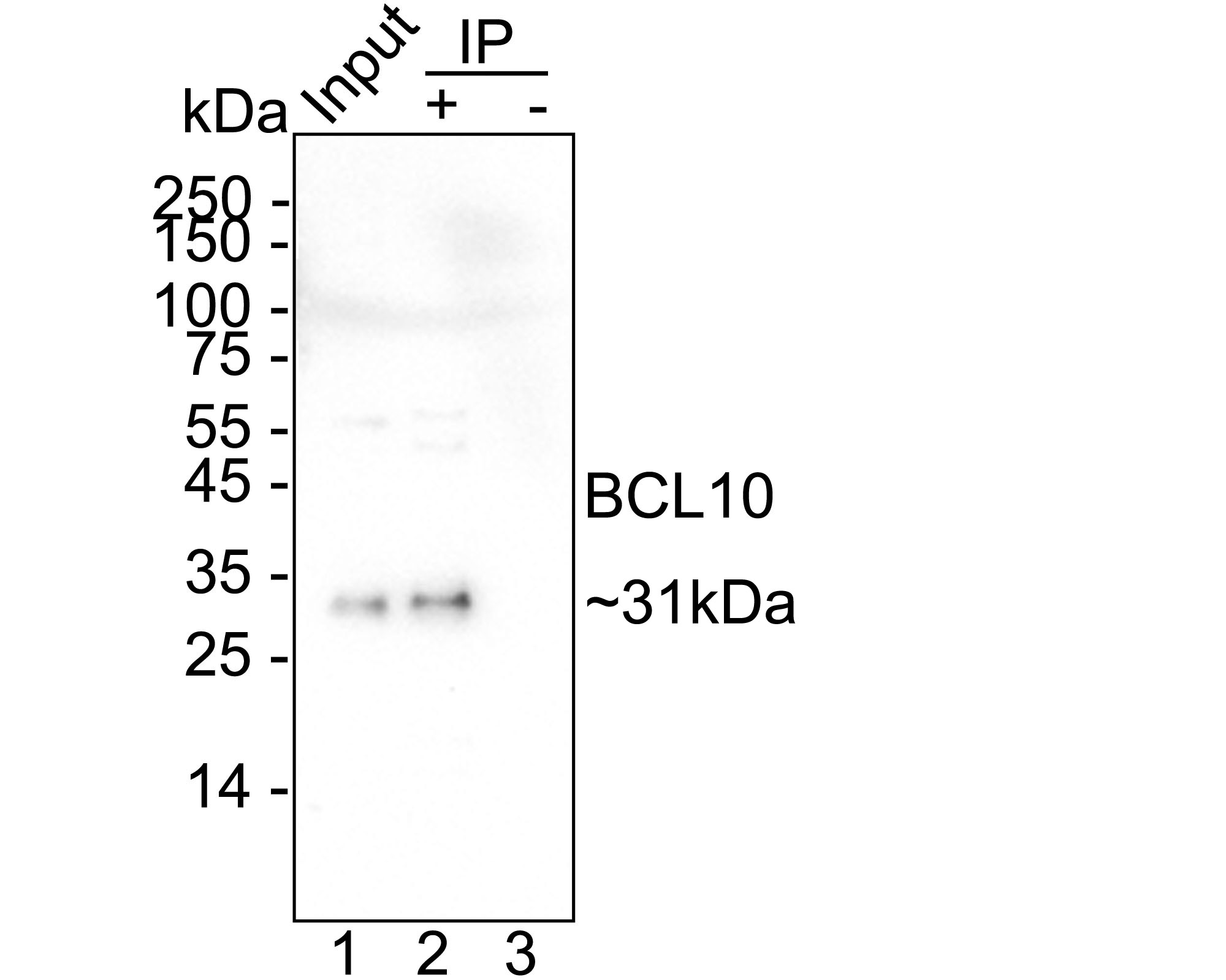 HA751468_6.jpg