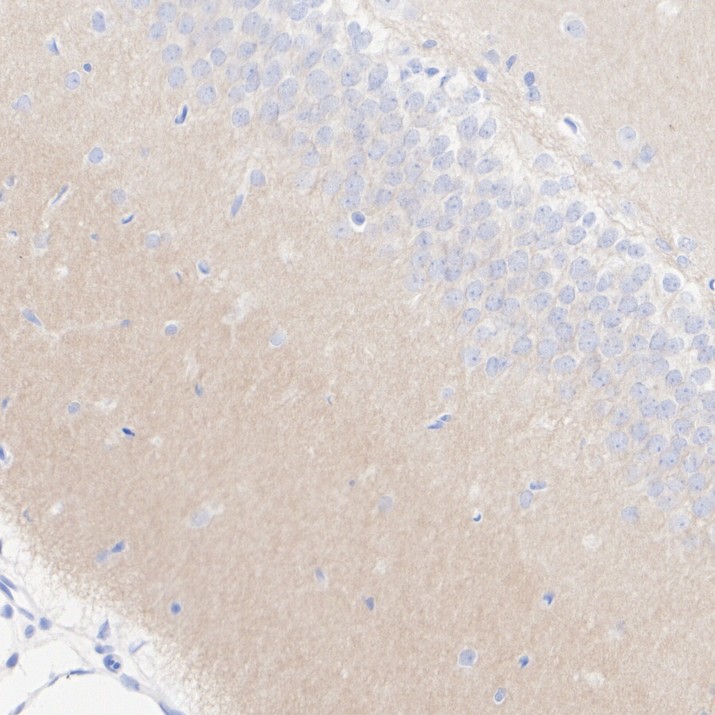 HA751470_5.jpg