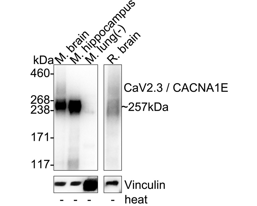 HA751470_7.jpg