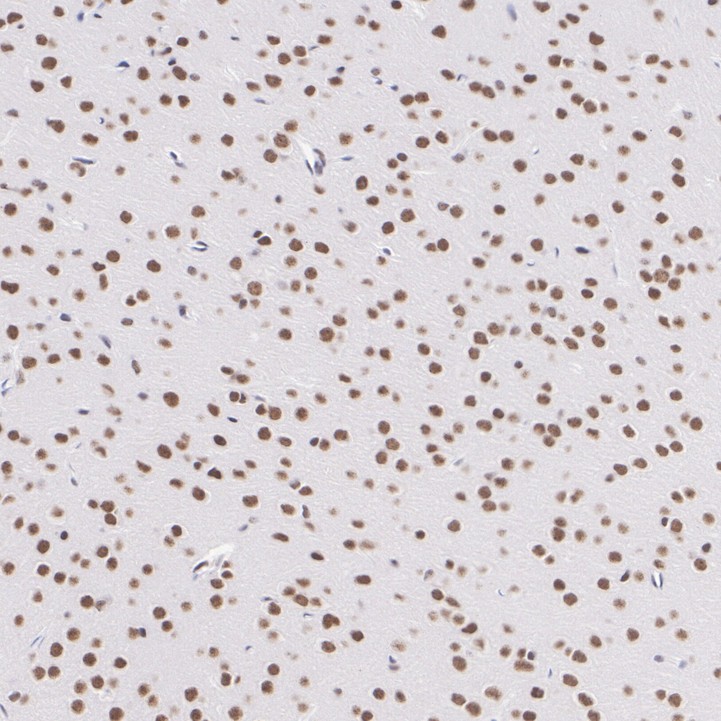 HA751472_6.jpg