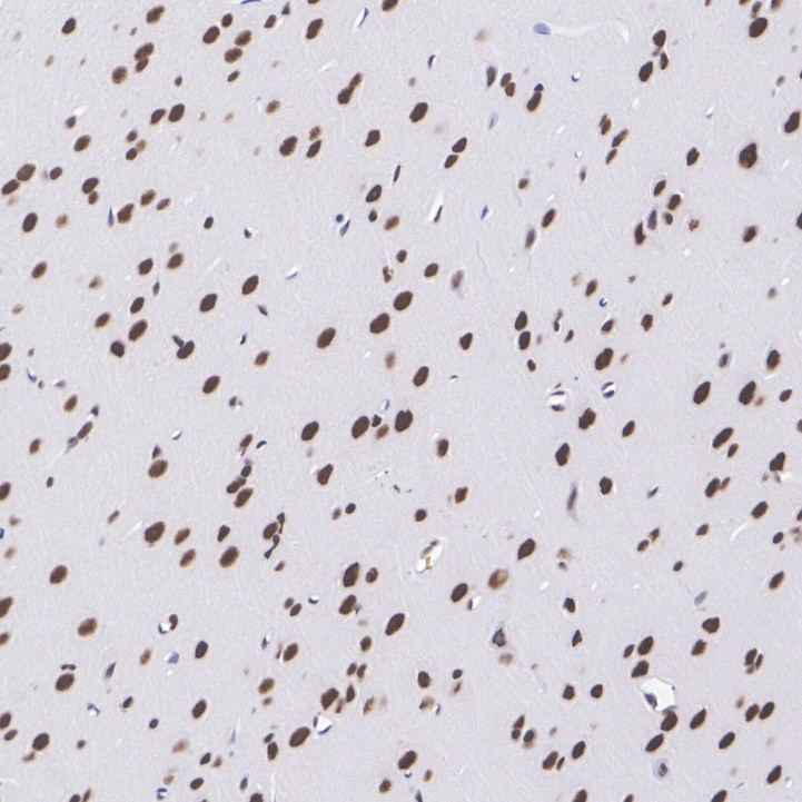 HA751472_7.jpg