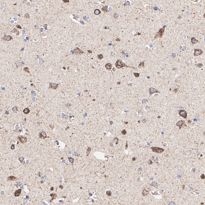 HA751476_2.jpg