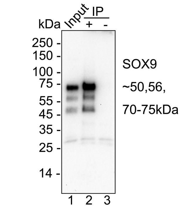 HA751478_11.jpg