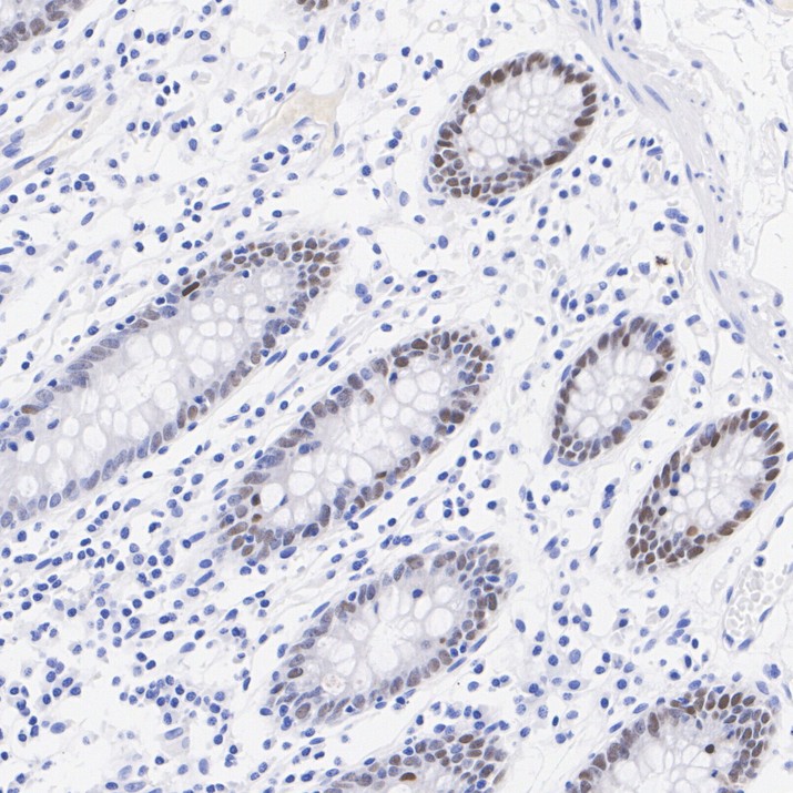 HA751478_3.jpg