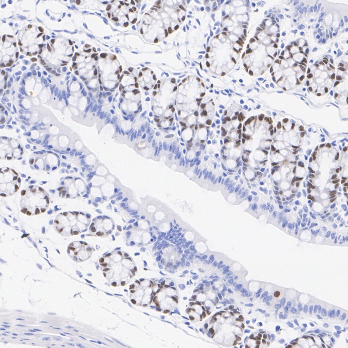 HA751478_5.jpg