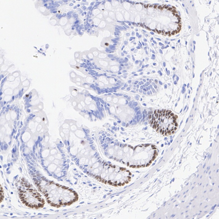 HA751478_7.jpg