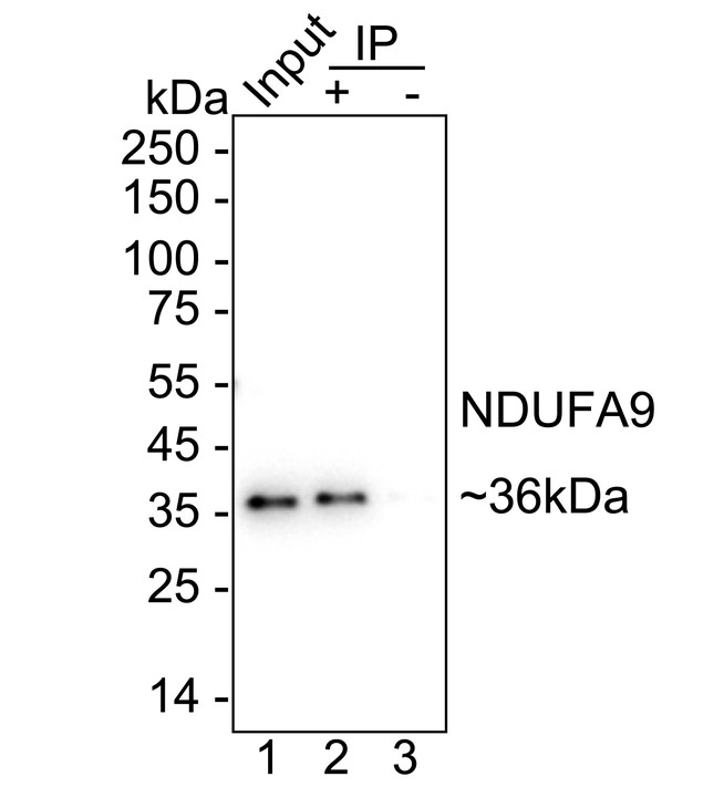 HA751503_2.jpg
