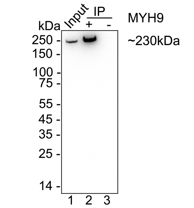 HA751505_10.jpg