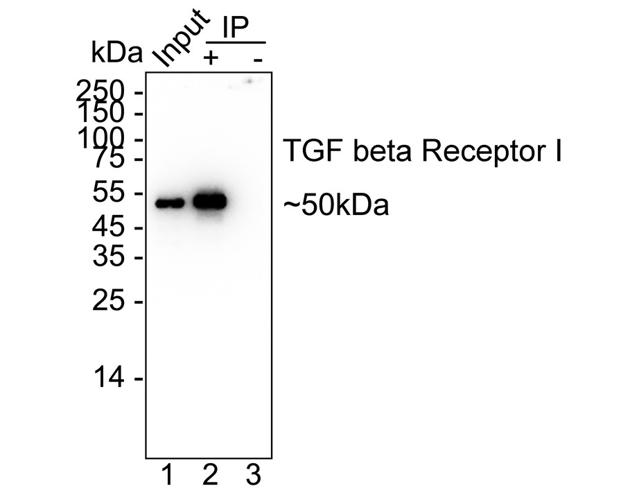 HA751509_2.jpg