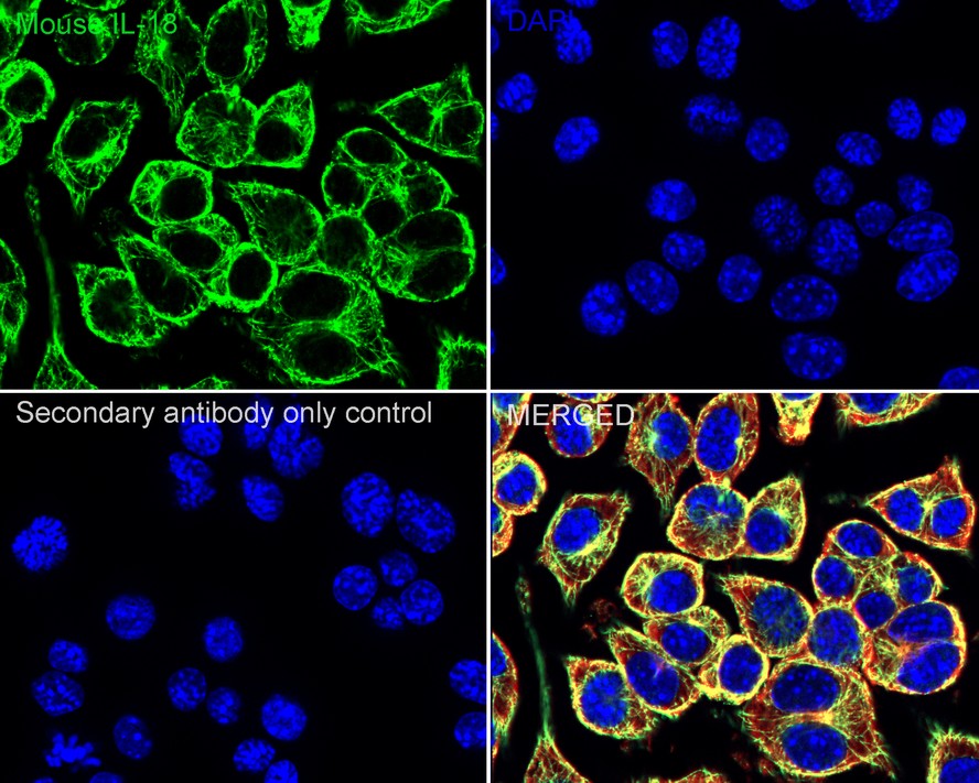 HA751511_2.jpg