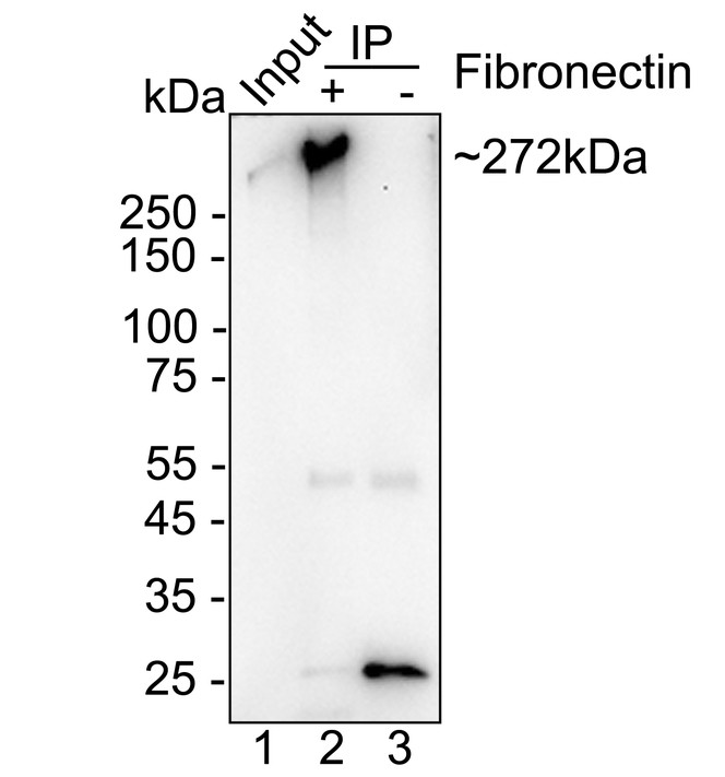 HA751514_10.jpg