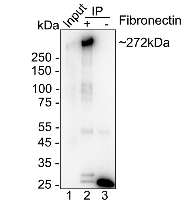 HA751515_6.jpg